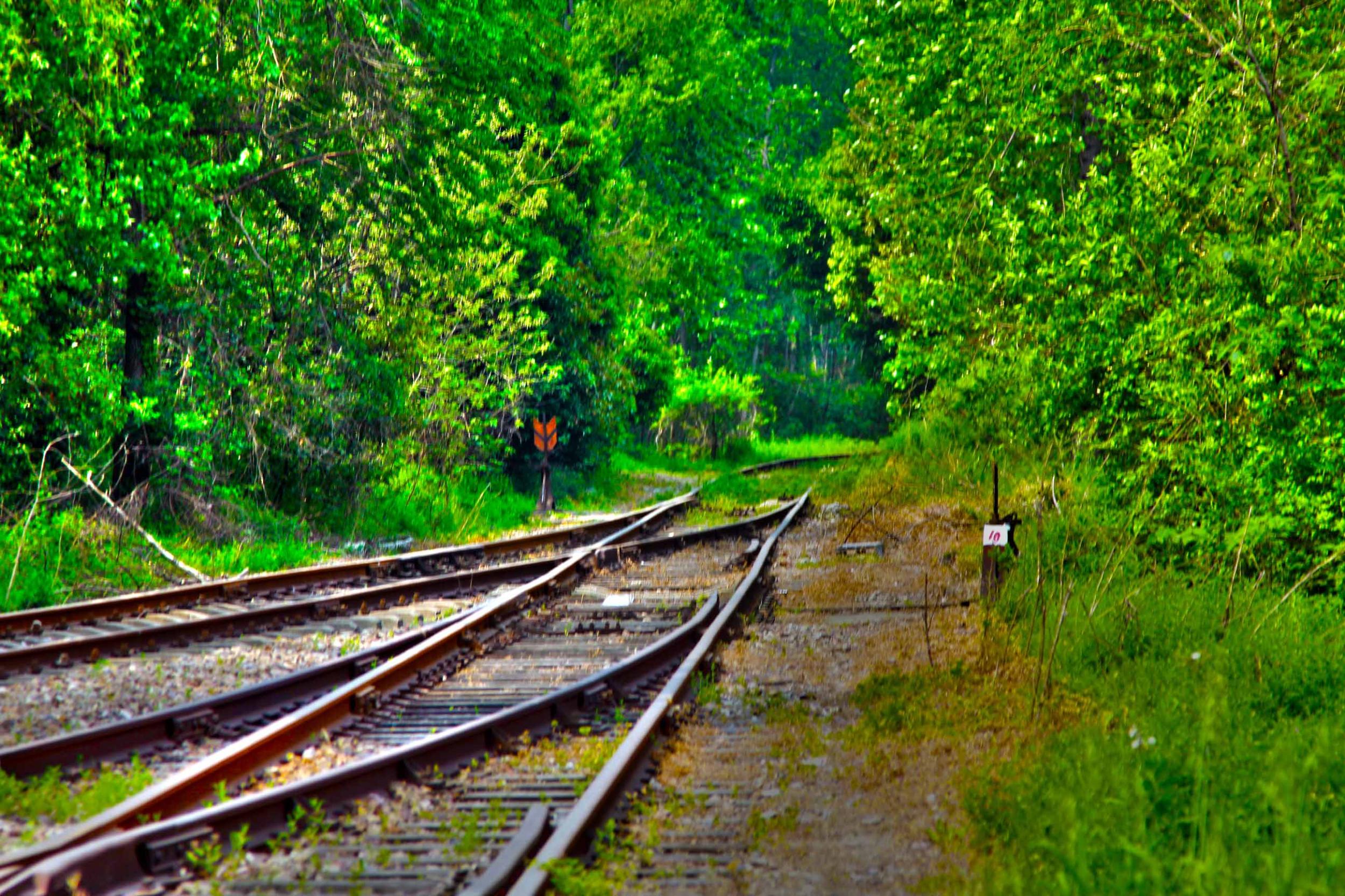我省今年年內有4條鐵路線投入運營更多出行選擇！