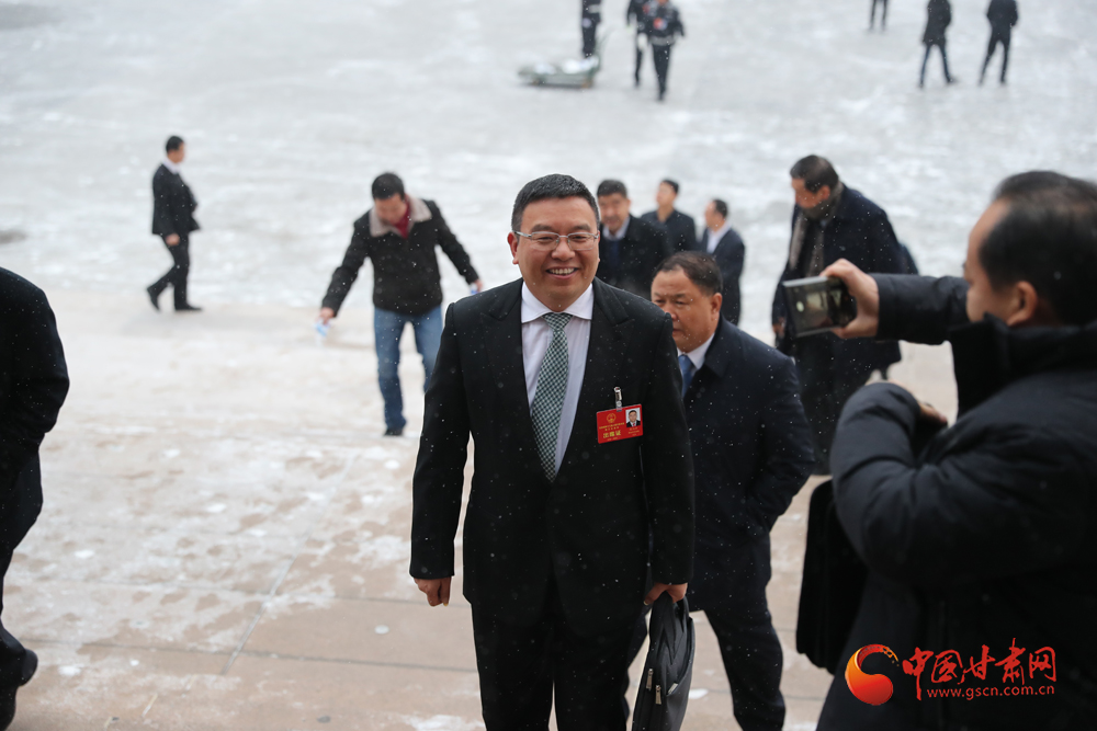【聚焦2020甘肅兩會(huì)】“兩會(huì)”代表、委員風(fēng)采掠影（組圖）