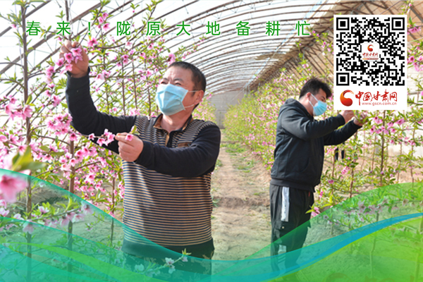 海報丨春來！隴原大地春耕忙