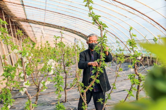 銅城復(fù)蘇：春光明媚，邀你共賞芳華（組圖）