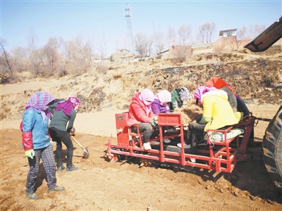 臨夏州積石山縣小明養(yǎng)殖家庭農場種植面積178畝