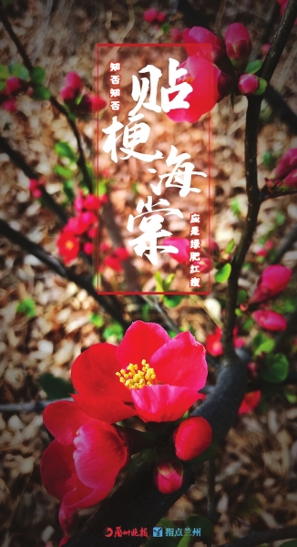 來(lái)，跟這些美美的花朵認(rèn)識(shí)一下！
