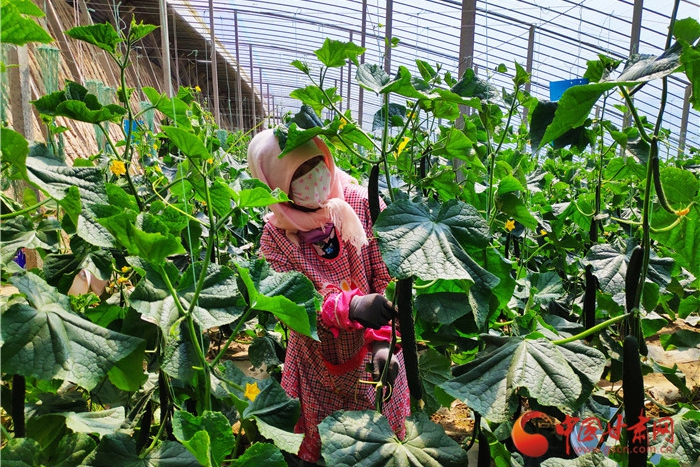 【甘肅省決戰(zhàn)決勝脫貧攻堅】張掖甘州區(qū)：國道黨旗紅 串起鄉(xiāng)村致富產業(yè)帶