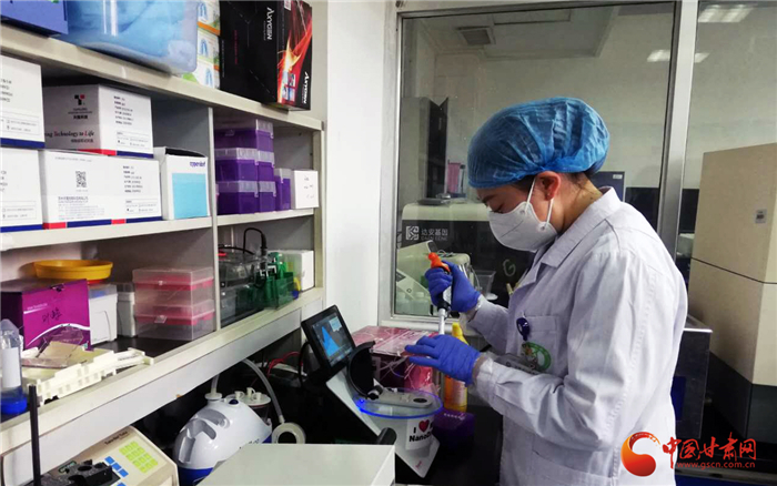 詮釋初心使命 解決重大醫(yī)療問題——甘肅省人民醫(yī)院臨床研究與轉(zhuǎn)化醫(yī)學(xué)研究所抗疫紀實（圖/視頻）