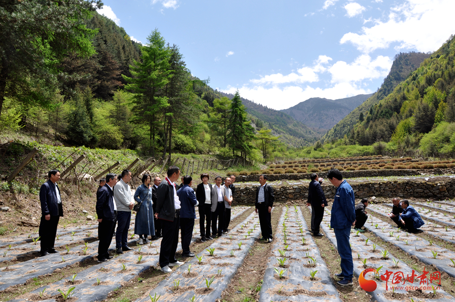 白龍江博峪河保護(hù)局開展產(chǎn)業(yè)發(fā)展、義務(wù)勞動(dòng)成果現(xiàn)場觀摩交流活動(dòng)
