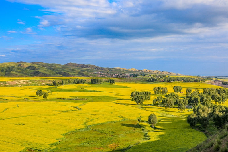 創(chuàng)意海報(bào)丨甘肅的美，你來了才知道