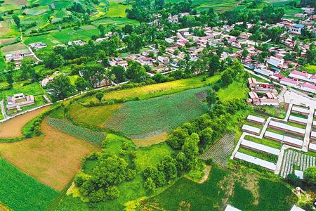 【溫暖的回響 滄桑巨變 飲水思源】這條路，通往幸福