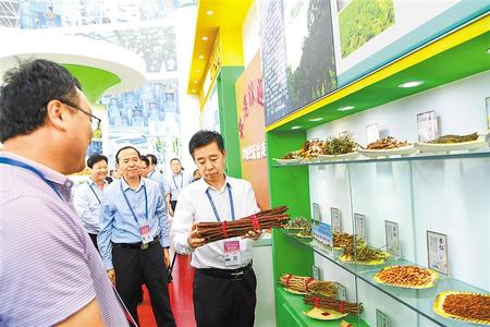 甘肅推動實(shí)施“六大特色農(nóng)業(yè)產(chǎn)業(yè)”精準(zhǔn)脫貧追蹤報道之藥產(chǎn)業(yè) 開出治窮“良方子”