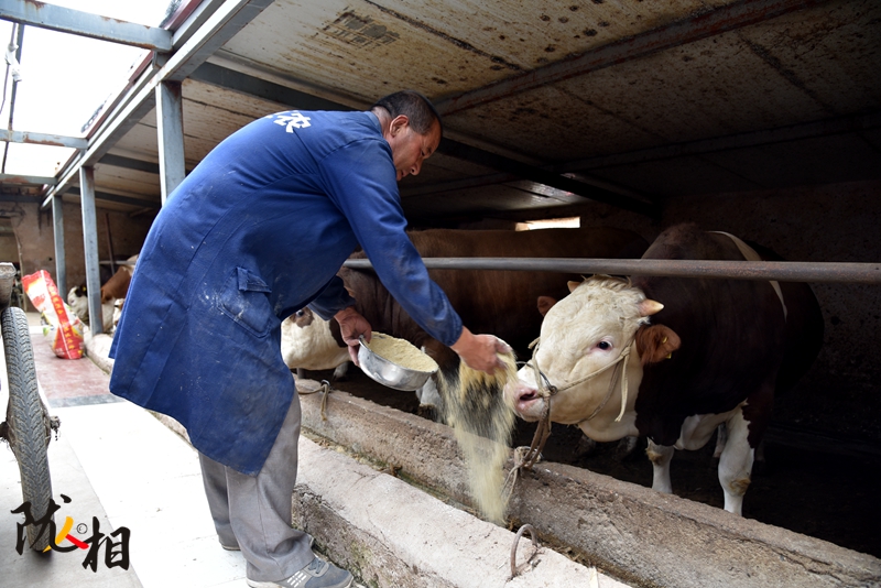 【隴人相】脫貧路上的實(shí)干家——“?！比笋R占清