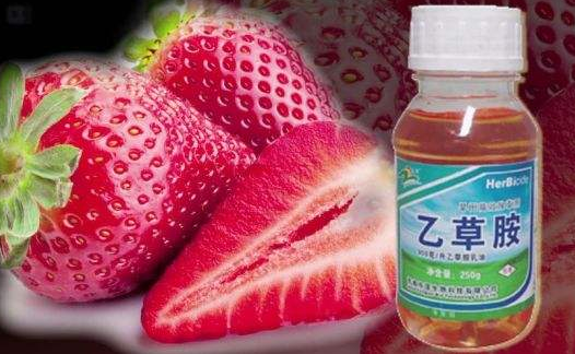 半小時測出千種農(nóng)藥殘留技術落地蘭州