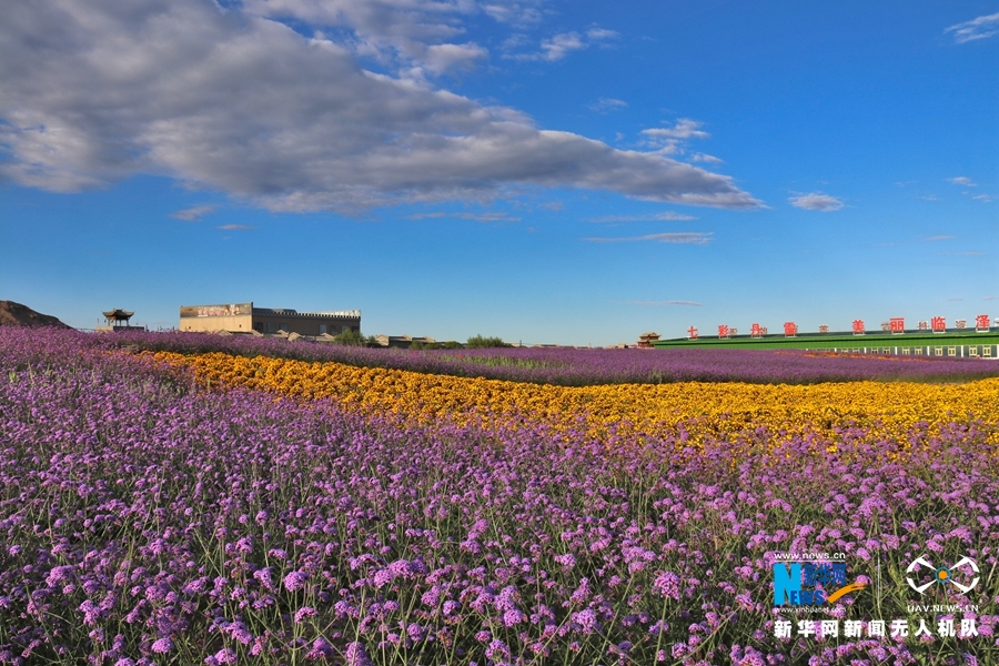 【“飛閱”中國】鳳凰花?！罢钩帷钡は伎?>
        </a><em>【“飛閱”中國】鳳凰花?！罢钩帷钡は伎?/em></li>
    <li><a  target=