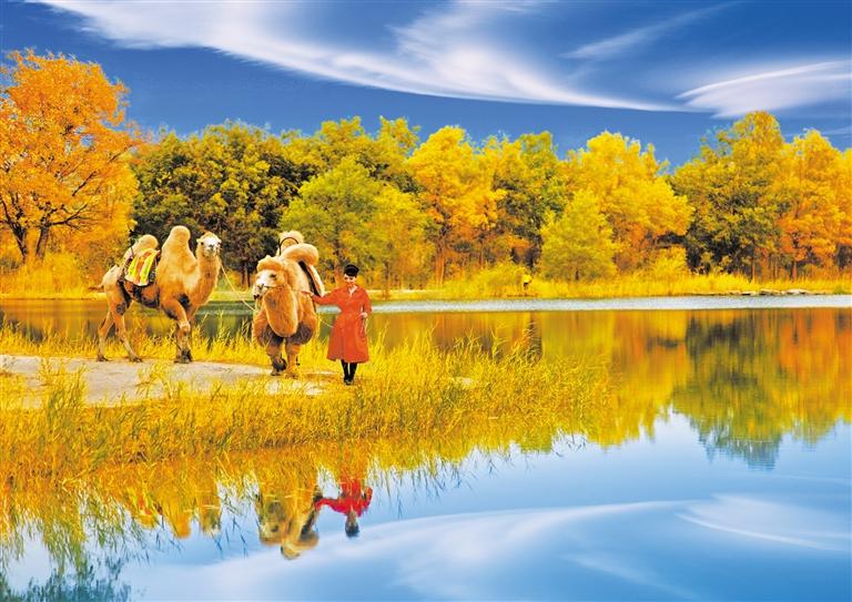 國(guó)慶長(zhǎng)假，去金塔遇見最美胡楊