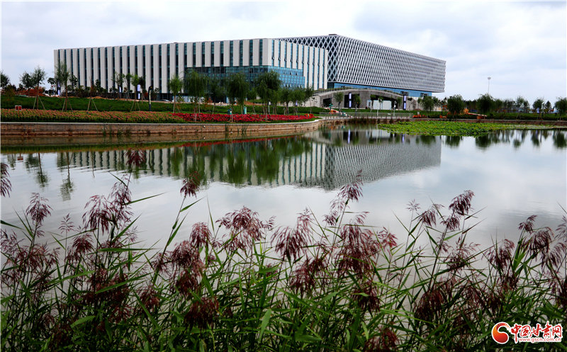 【十年巨變 看新區(qū)成就】生態(tài)環(huán)境保護工作多點開花