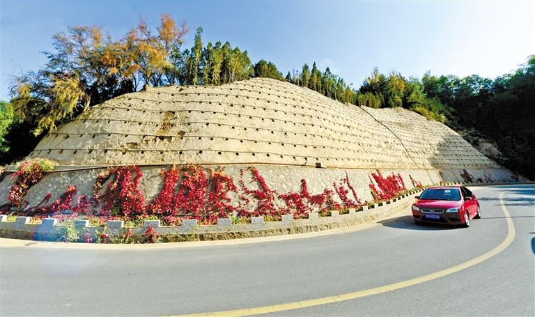 近90度陡坡上種樹！蘭州南北兩山綠化出新招