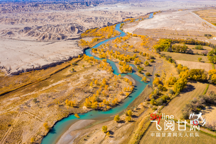 【飛閱甘肅】好美！疏勒河畔大地斑斕