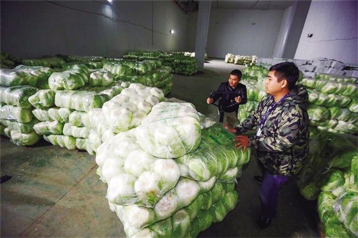 蘭州市已儲備1萬噸冬春蔬菜以耐貯存、易周轉(zhuǎn)品種為主