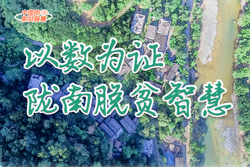 【中國的脫貧智慧】以數(shù)為證！隴南脫貧智慧來了！