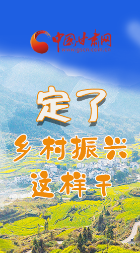 圖解|定了！全面推進(jìn)鄉(xiāng)村振興這樣干！