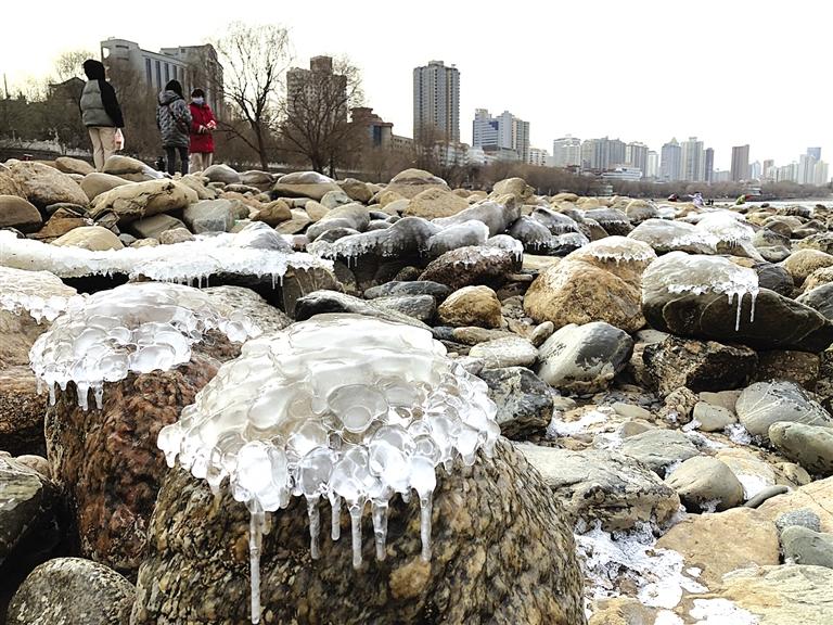 蘭州：水母上河灘？