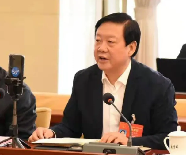 【聚焦2021全國兩會】全國人大代表、市委書記楊維俊接受中國日報記者采訪