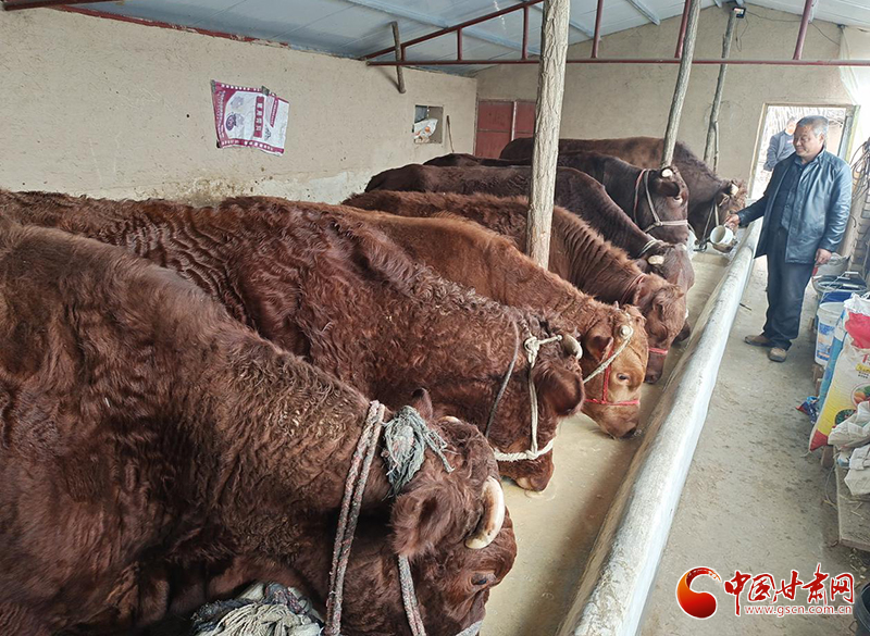 平?jīng)鰶艽ǎ骸芭！碑a(chǎn)業(yè)鋪就致富路