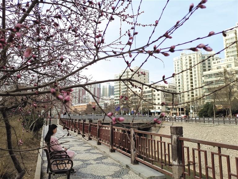 蘭州“第一朵花”開(kāi)了！