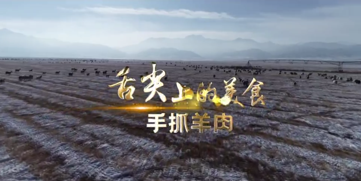 【甘肅省“100系列”獻(xiàn)禮建黨百年】物華天寶潤(rùn)隴原·舌尖上的美食：手抓羊肉