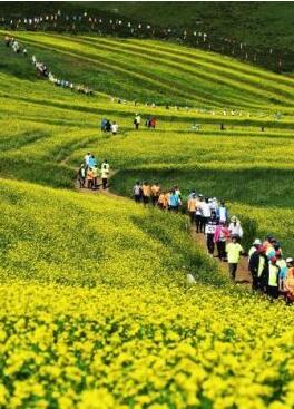 甘肅明確農(nóng)民進(jìn)城落戶:不以退出承包地、林地等為條件