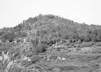 歷史眼丨張果老是正寧人？他與甘肅福緣不淺