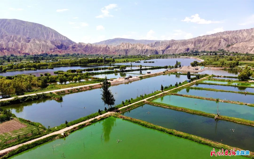 一秒入畫！太極島濕地風(fēng)光秀麗