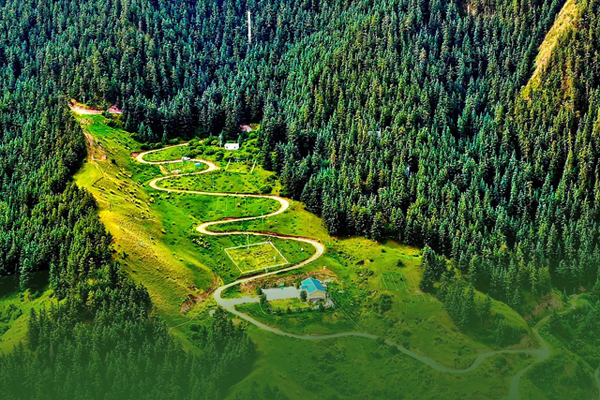 海報|祁連山保護(hù)區(qū)生態(tài)環(huán)境問題整改全面完成！