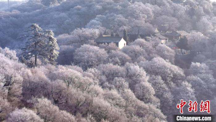 圖為霧凇美景?！⌒煺袢A 攝