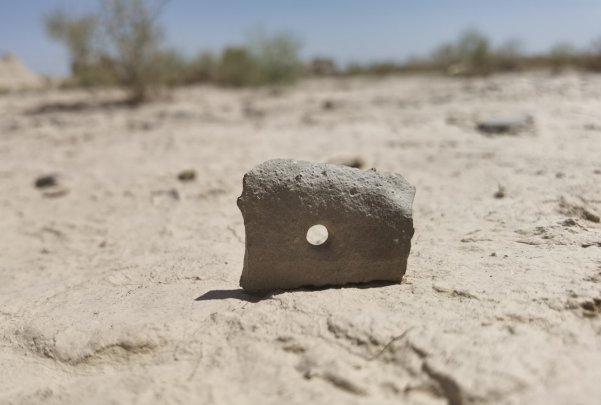 插圖1：河西走廊上遺存的古陶片。攝影：陳曉斌。拍攝日期：2020年6月。