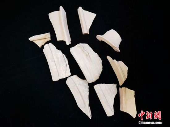 圖為靜寧縣賈河鄉(xiāng)竇坪村出土的彩陶片、紅陶片。 夏劍鋒 攝