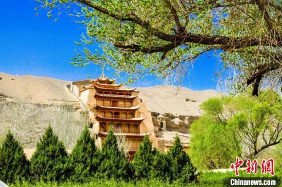 4月的敦煌莫高窟景區(qū)春意盎然。(資料圖) 王斌銀 攝