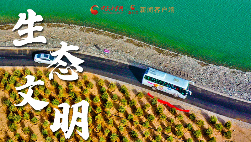 彈幕海報丨熱議甘肅省委十三屆十六次全會 網(wǎng)民聲音在回響！