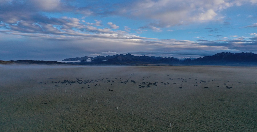 甘肅山丹馬場(chǎng)：峽谷云霧似仙境。 王超攝