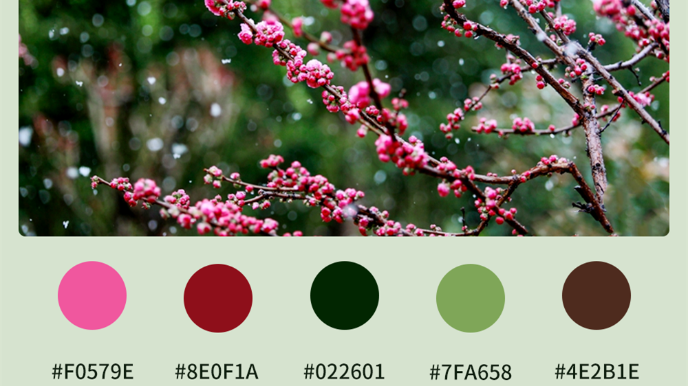 微海報(bào)|收藏！色卡里的春日甘肅