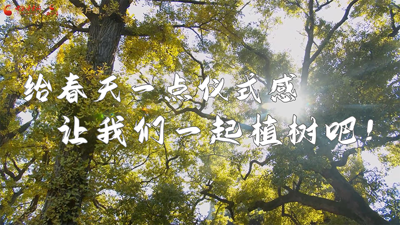 短視頻|給春天一點儀式感，讓我們一起植樹吧！