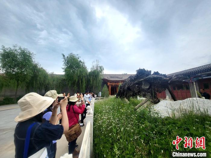 圖為媒體記者在青海永錄民俗參觀采訪。　薛蒂 攝