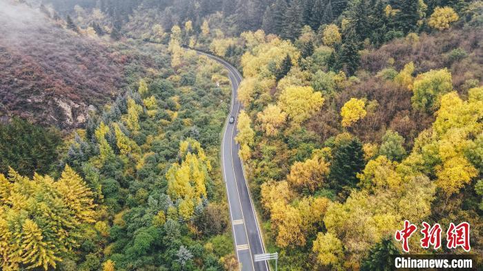 深秋，航拍位于蘭州市榆中縣的興隆山，景色如畫。金峯 攝</p>
<p>