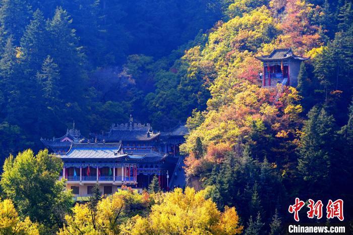 深秋，位于蘭州市榆中縣的興隆山景色如畫。宮衛(wèi)紅 攝