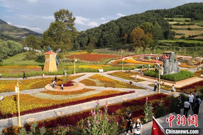 圖為航拍甘肅甘南臨潭縣八角鎮(zhèn)，花海吸引游人。(資料圖)高展 攝