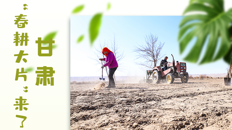 【甘快看】海報|瞧！甘肅“春耕大片”來了