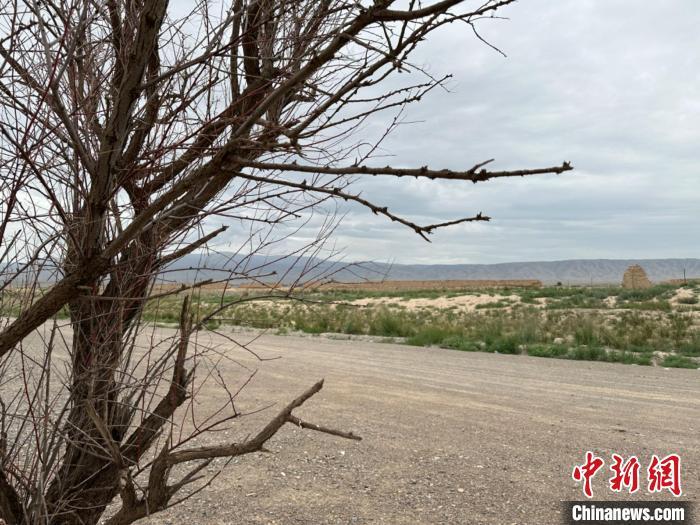 圖為位于長(zhǎng)城墻體上的“馬面”或“敵臺(tái)”?！〈魑牟?攝