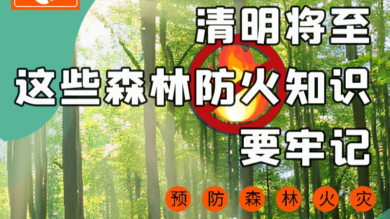 【甘快看】圖解|緊繃“安全弦”！清明，這些森林防火知識要牢記
