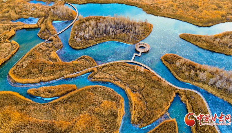 隴拍客丨張掖濕地披金裝