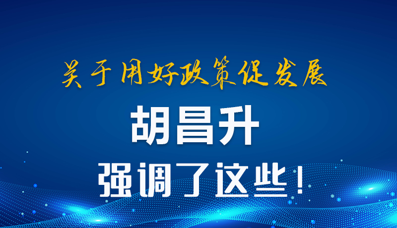 圖解|關(guān)于用好政策促發(fā)展 胡昌升強調(diào)了這些！