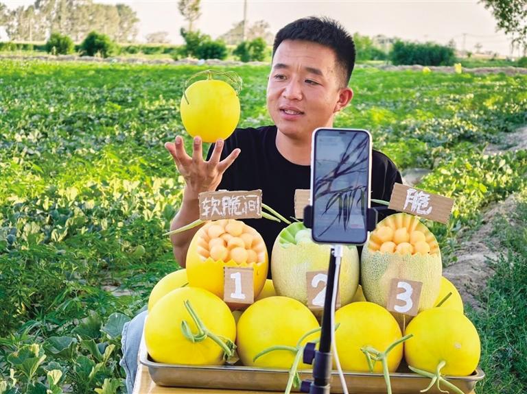 大漠深處，青春如梭梭般扎根