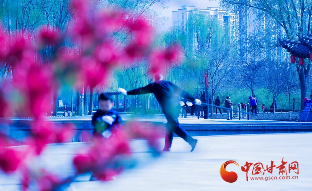 春動(dòng)隴原丨永靖：一半花鳥詩意 一半人間煙火